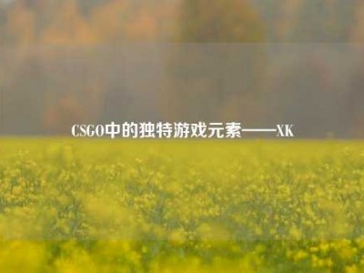 CSGO中的独特游戏元素——XK