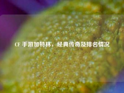 CF 手游加特林，经典传奇及排名情况
