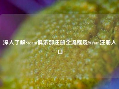 深入了解Steam俱乐部注册全流程及Steam注册入口