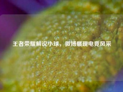 王者荣耀解说小球，微博展现电竞风采