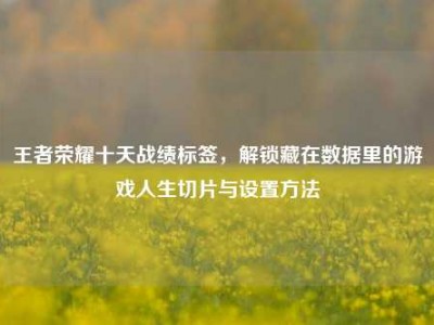 王者荣耀十天战绩标签，解锁藏在数据里的游戏人生切片与设置方法
