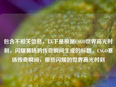 包含不相关信息，以下是根据CSGO世界高光时刻，闪耀赛场的传奇瞬间生成的标题，CSGO赛场传奇瞬间，那些闪耀的世界高光时刻
