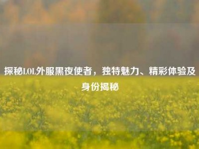 探秘LOL外服黑夜使者，独特魅力、精彩体验及身份揭秘