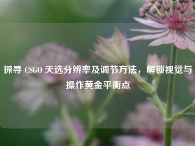 探寻 CSGO 天选分辨率及调节方法，解锁视觉与操作黄金平衡点