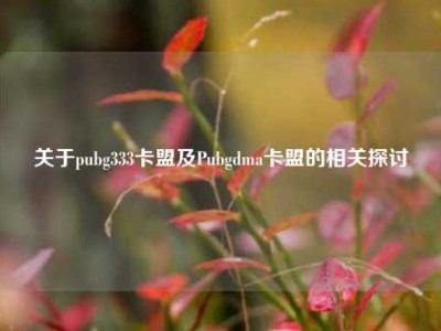 关于pubg333卡盟及Pubgdma卡盟的相关探讨