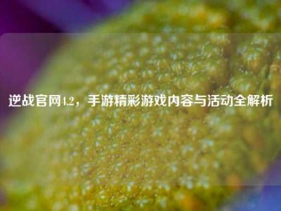 逆战官网4.2，手游精彩游戏内容与活动全解析