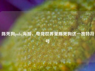 陈死狗pubg海报，电竞世界里陈死狗这一独特符号