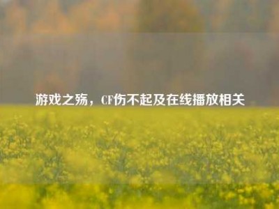 游戏之殇，CF伤不起及在线播放相关