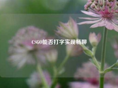 CSGO能否打字实现畅聊