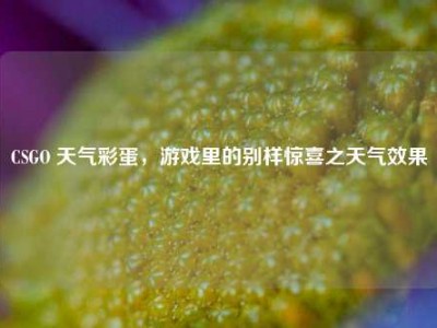 CSGO 天气彩蛋，游戏里的别样惊喜之天气效果