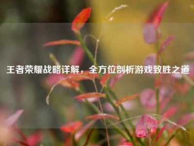 王者荣耀战略详解，全方位剖析游戏致胜之道