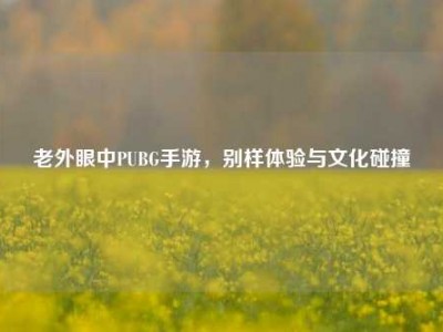 老外眼中PUBG手游，别样体验与文化碰撞