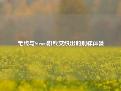 毛线与Steam游戏交织出的别样体验