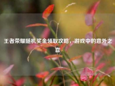 王者荣耀随机奖金领取攻略，游戏中的意外之喜
