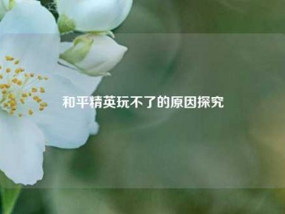 和平精英玩不了的原因探究