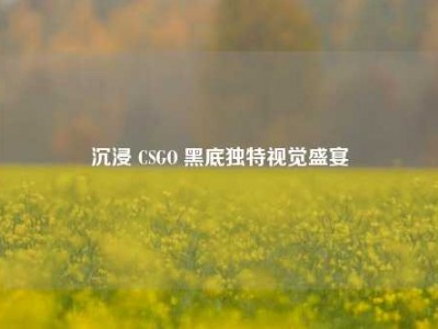 沉浸 CSGO 黑底独特视觉盛宴
