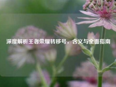 深度解析王者荣耀转移号，含义与全面指南