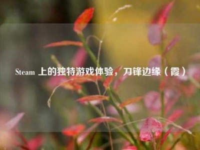Steam 上的独特游戏体验，刀锋边缘（霞）