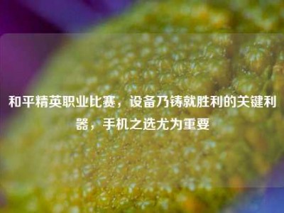 和平精英职业比赛，设备乃铸就胜利的关键利器，手机之选尤为重要