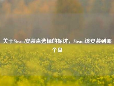 关于Steam安装盘选择的探讨，Steam该安装到哪个盘
