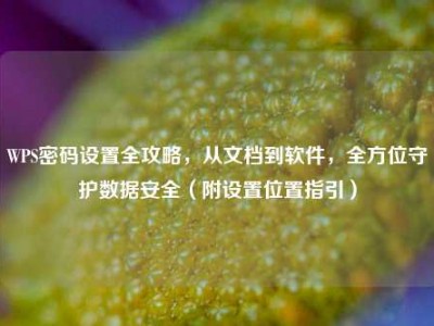 WPS密码设置全攻略，从文档到软件，全方位守护数据安全（附设置位置指引）