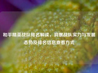 和平精英战队排名解读，洞察战队实力与发展态势及排名信息查看方式