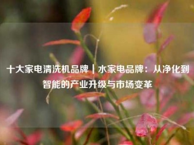 十大家电清洗机品牌｜水家电品牌：从净化到智能的产业升级与市场变革