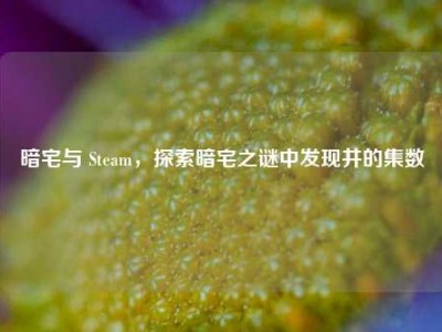 暗宅与 Steam，探索暗宅之谜中发现井的集数