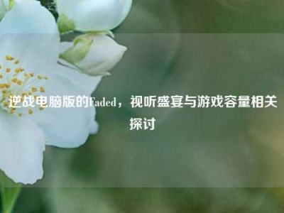 逆战电脑版的Faded，视听盛宴与游戏容量相关探讨