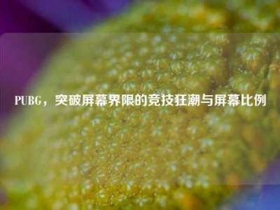 PUBG，突破屏幕界限的竞技狂潮与屏幕比例