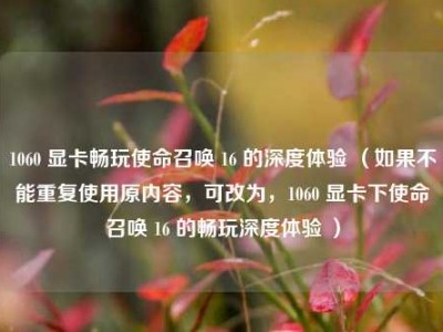 1060 显卡畅玩使命召唤 16 的深度体验 （如果不能重复使用原内容，可改为，1060 显卡下使命召唤 16 的畅玩深度体验 ）
