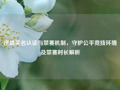 逆战实名认证与禁赛机制，守护公平竞技环境及禁赛时长解析