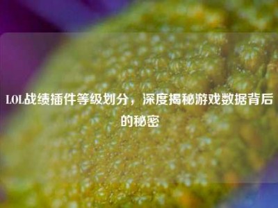 LOL战绩插件等级划分，深度揭秘游戏数据背后的秘密