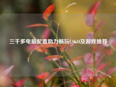 三千多电脑配置助力畅玩CSGO及游戏推荐