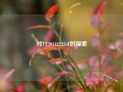 对TT20141222cF的探索