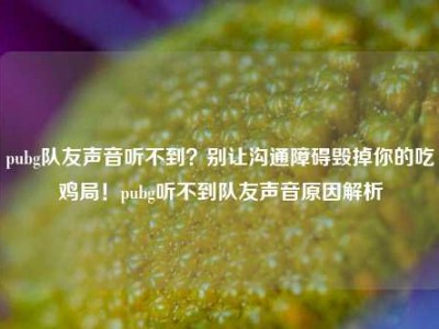 pubg队友声音听不到？别让沟通障碍毁掉你的吃鸡局！pubg听不到队友声音原因解析