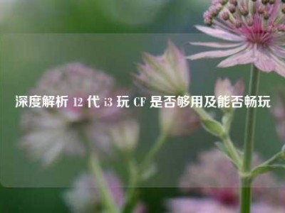 深度解析 12 代 i3 玩 CF 是否够用及能否畅玩