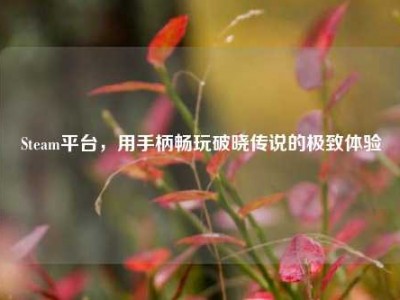 Steam平台，用手柄畅玩破晓传说的极致体验