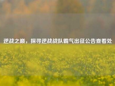 逆战之巅，探寻逆战战队霸气出征公告查看处