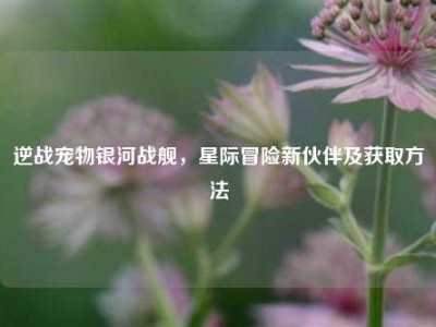 逆战宠物银河战舰，星际冒险新伙伴及获取方法