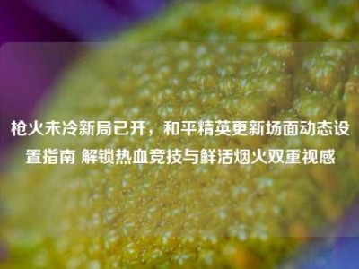 枪火未冷新局已开，和平精英更新场面动态设置指南 解锁热血竞技与鲜活烟火双重视感