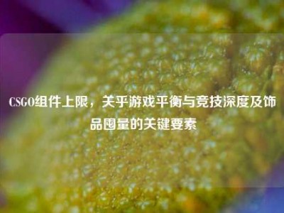 CSGO组件上限，关乎游戏平衡与竞技深度及饰品囤量的关键要素