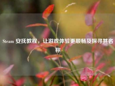Steam 安抚教程，让游戏体验更顺畅及探寻其名称