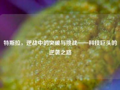 特斯拉，逆战中的突破与挑战——科技巨头的逆袭之路