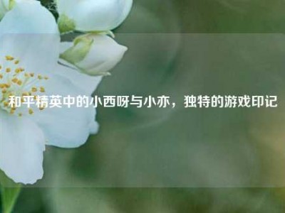 和平精英中的小西呀与小亦，独特的游戏印记