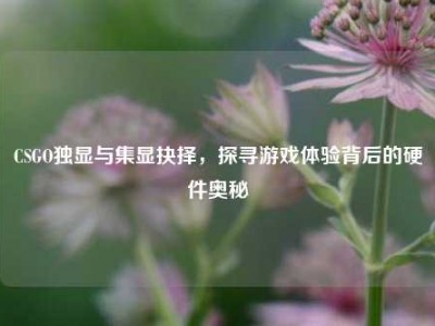 CSGO独显与集显抉择，探寻游戏体验背后的硬件奥秘