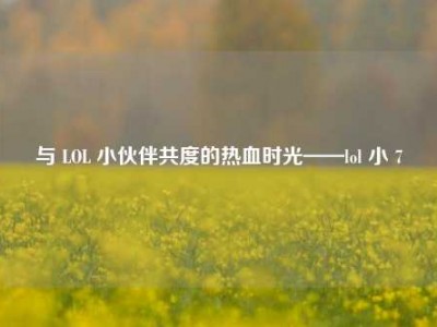 与 LOL 小伙伴共度的热血时光——lol 小 7