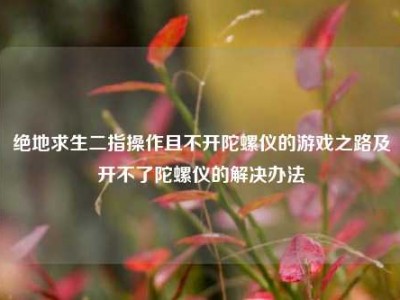 绝地求生二指操作且不开陀螺仪的游戏之路及开不了陀螺仪的解决办法