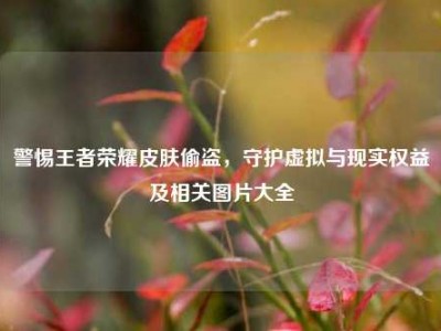 警惕王者荣耀皮肤偷盗，守护虚拟与现实权益及相关图片大全