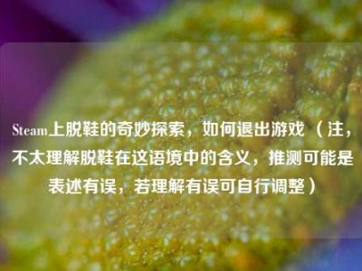 Steam上脱鞋的奇妙探索，如何退出游戏 （注，不太理解脱鞋在这语境中的含义，推测可能是表述有误，若理解有误可自行调整）